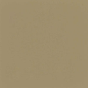 Decorative Stamped Concrete Color - Stain -Rye Grass 0.75 LBS. 552